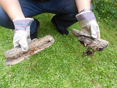 Lime scale build up removed from blocked drain